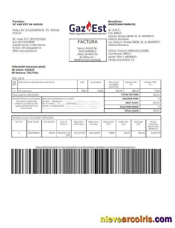 ROMANIA GAZ EST utility bill